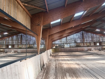 miroir equestre france